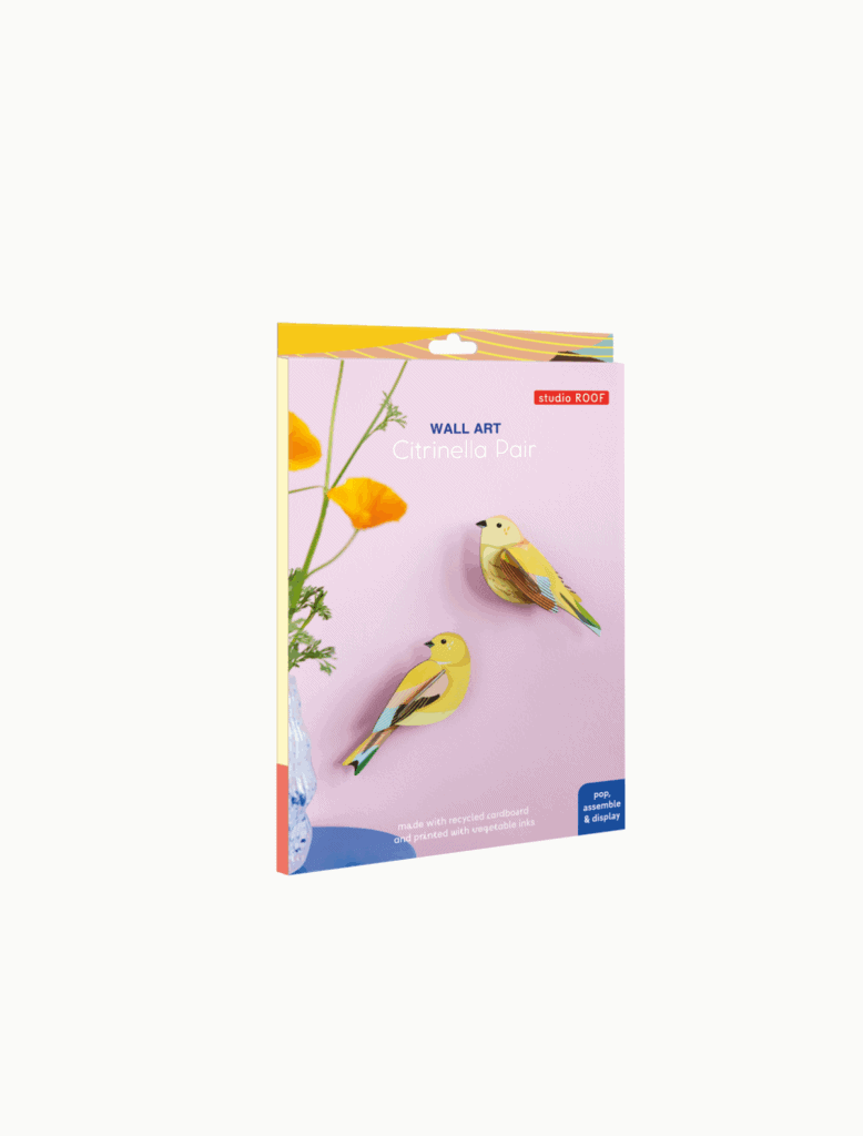 Studio ROOF: Citrinella Pair - Afbeelding 5